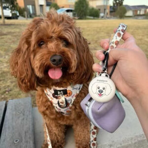 @trufflethecavoodle